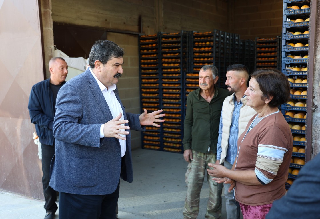 DORUKLU MAHALLESİ CENNET MEYVESİ HASAT ETKİNLİĞİ