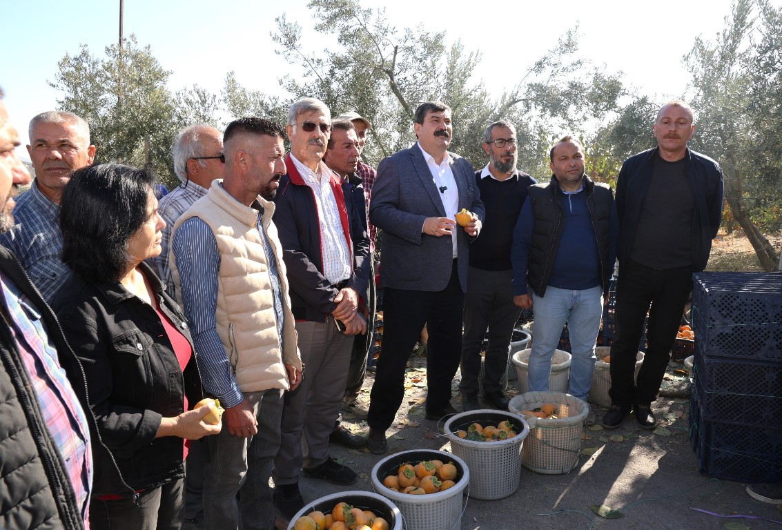 DORUKLU MAHALLESİ CENNET MEYVESİ HASAT ETKİNLİĞİ - 4