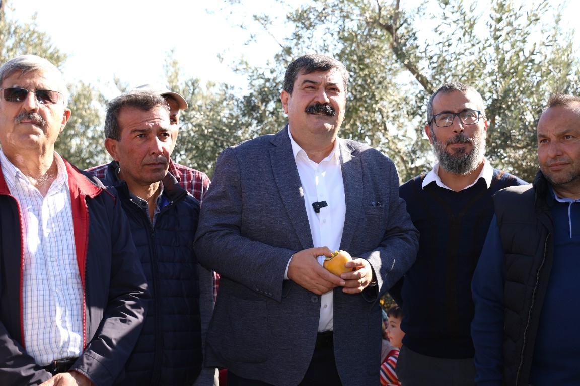 DORUKLU MAHALLESİ CENNET MEYVESİ HASAT ETKİNLİĞİ - 5