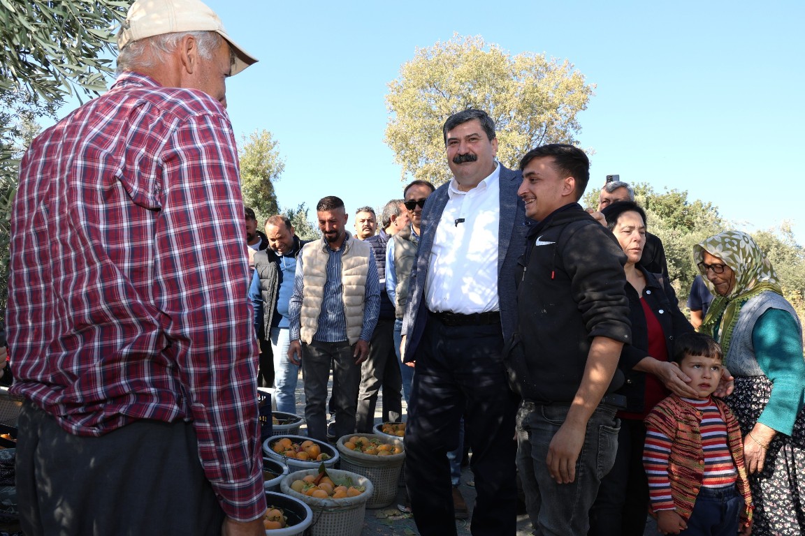 DORUKLU MAHALLESİ CENNET MEYVESİ HASAT ETKİNLİĞİ - 11