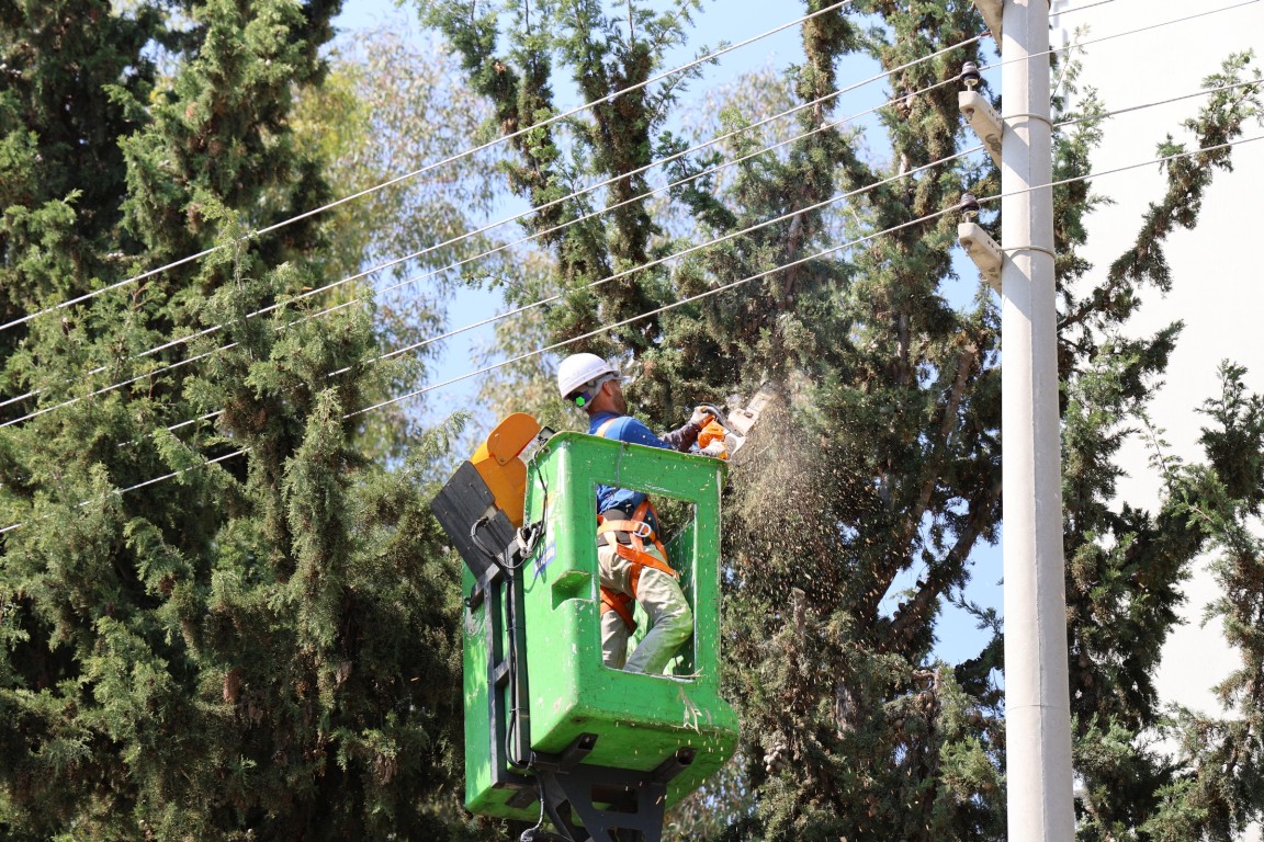 TOROSLAR’DA DAHA TEMİZ VE YEŞİL BİR ÇEVRE İÇİN YOĞUN MESAİ