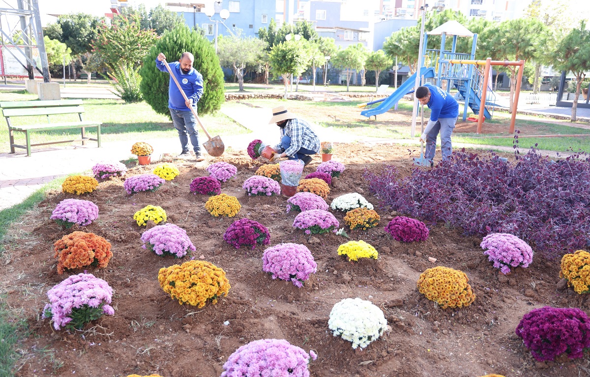 TOROSLAR’IN YEŞİL ALANLARI KASIMPATI İLE RENKLENDİ