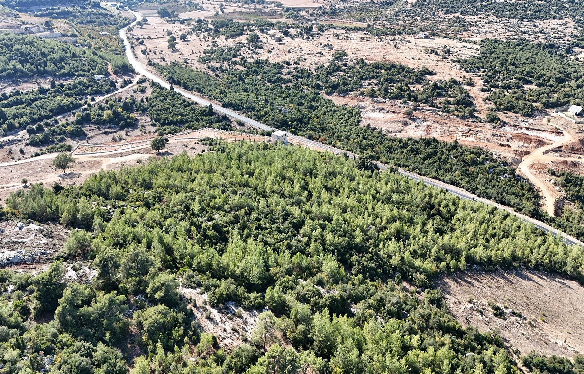 TOROSLAR’DA SOKAK HAYVANLARI İÇİN DOĞAL YAŞAM ALANI KURULUYOR