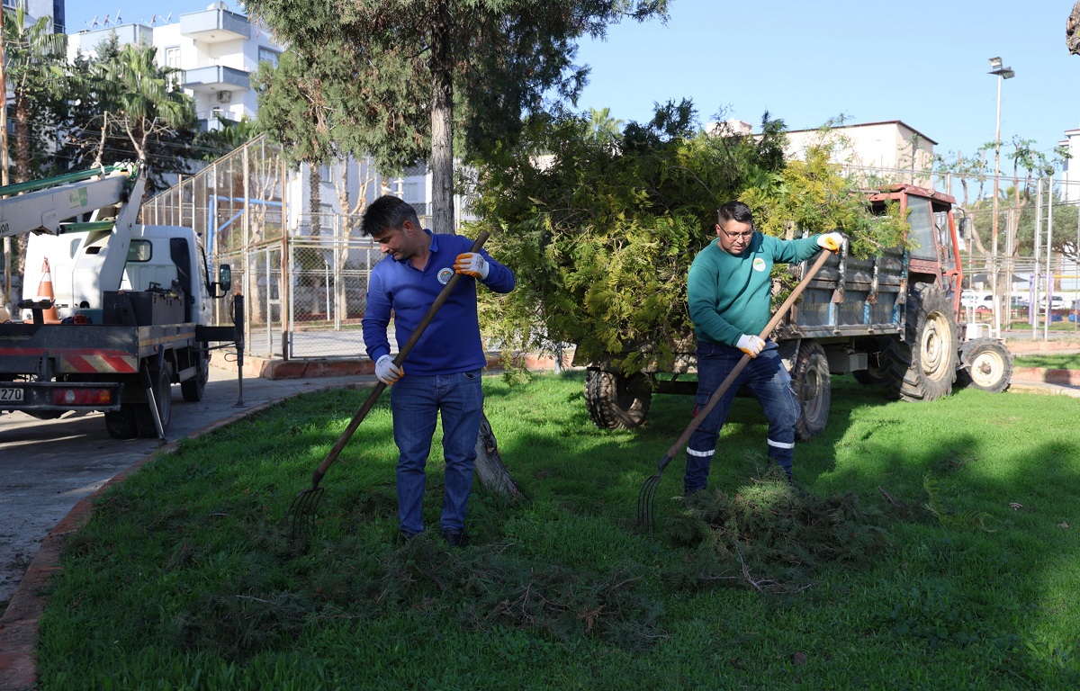 TOROSLAR BELEDİYESİNDEN AĞAÇLARA KIŞ BAKIMI