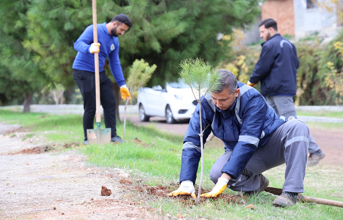 TOROSLAR BELEDİYESİ, YEŞİL DOKUYU GÜÇLENDİREN ÇALIŞMALARINI SÜRDÜRÜYOR