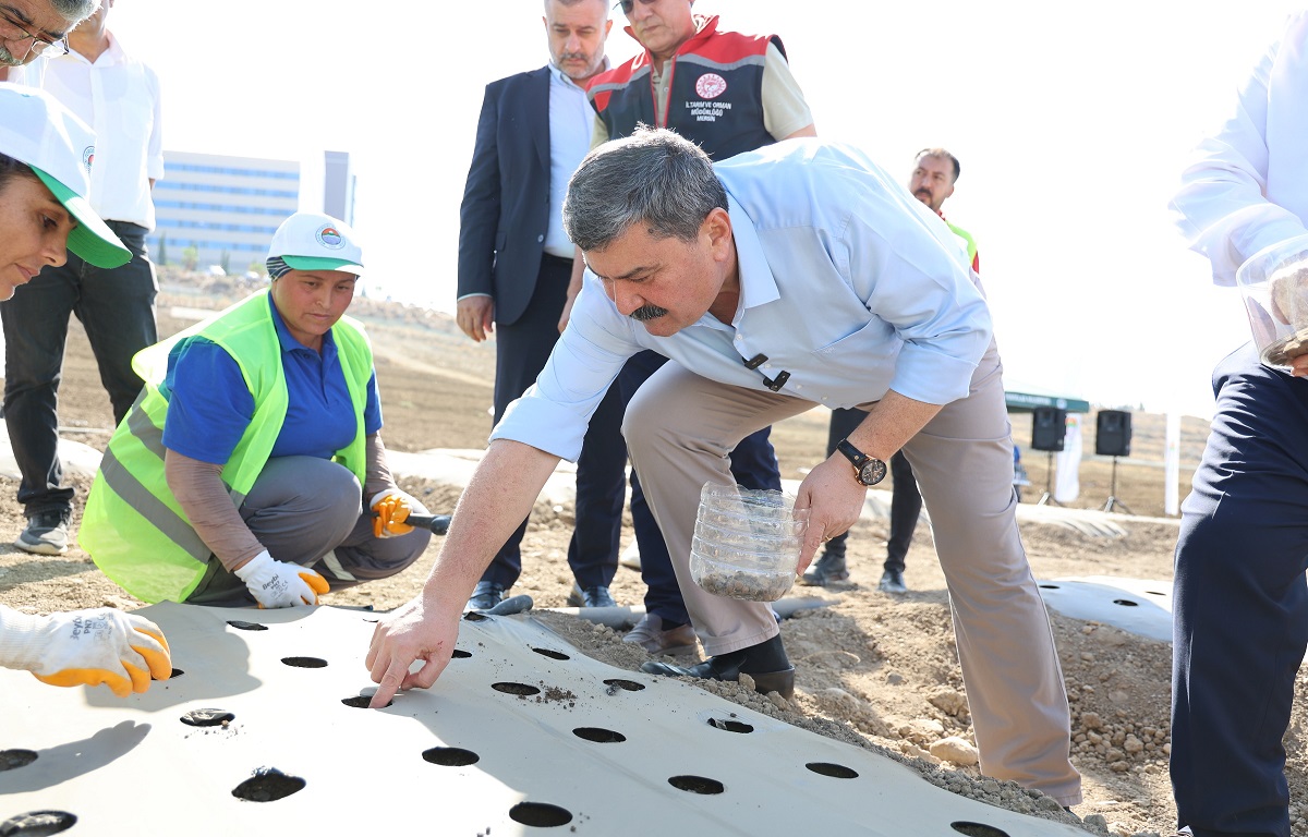 TOROSLAR’DA ÜRETİM DEVAM EDİYOR